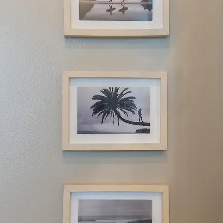 Leopardi Al Mare Nuovissimo *